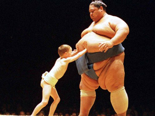 sumo wrestler action figure